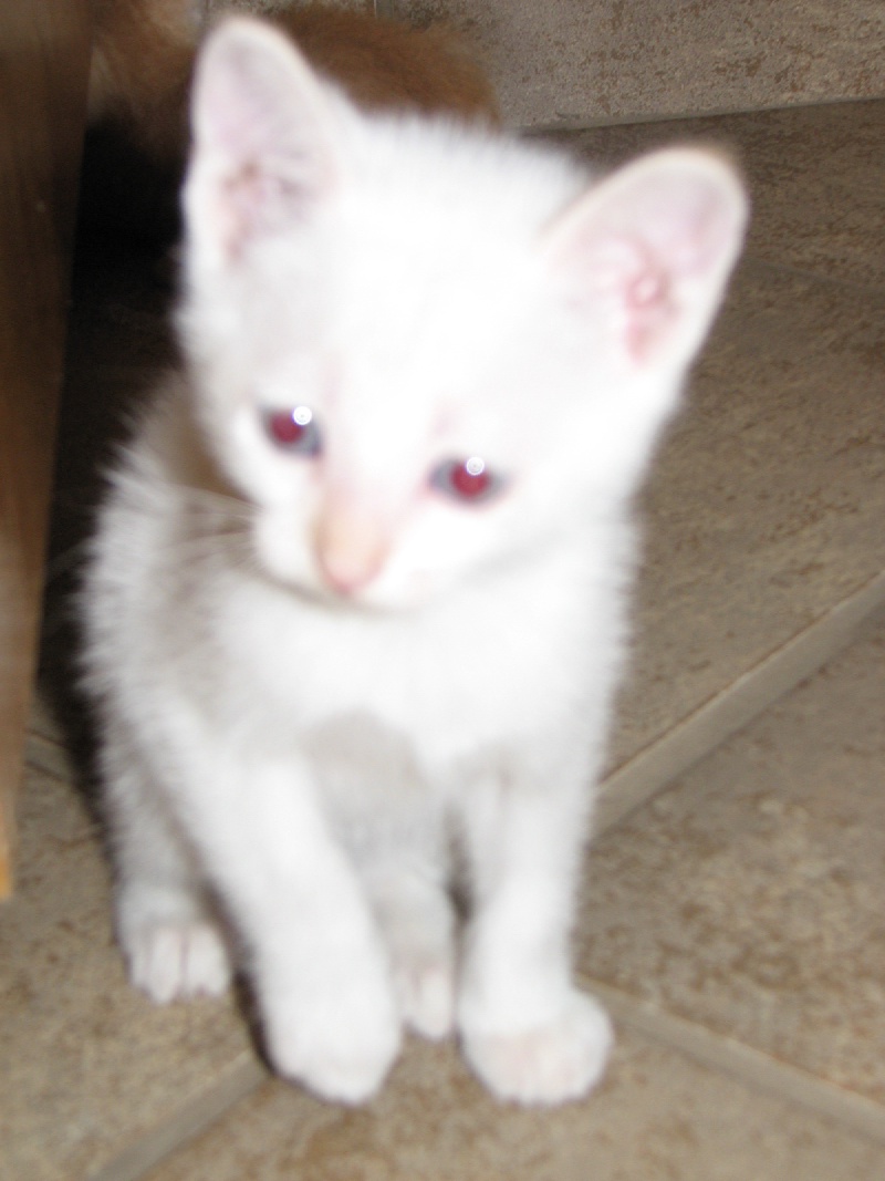 20100206 439.JPG